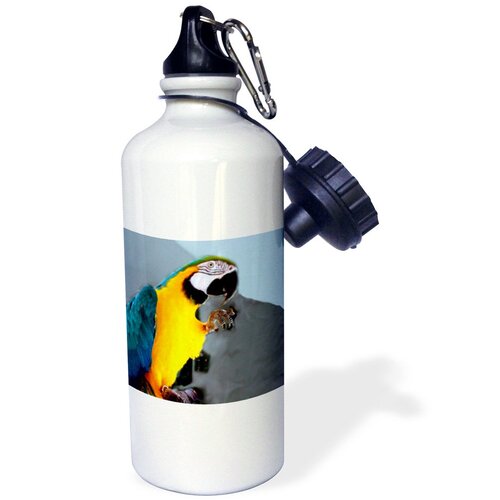 Black Sheltie - Sports eco-friendly Water Bottle, 21oz (620ml) - 3dRose